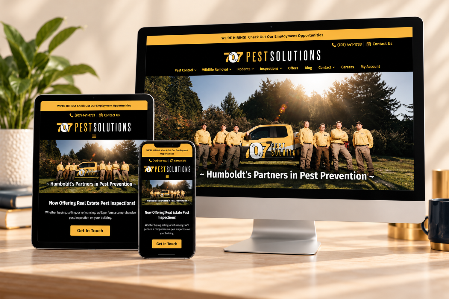 responsive website design